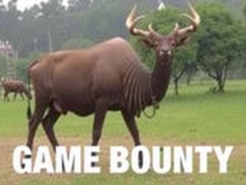 Modern Game Development Studio